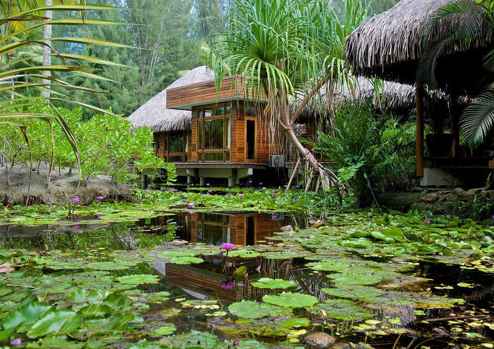 Bora Bora Pearl Beach Hotel Vaitape