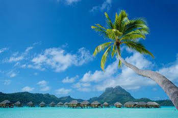 Bora Bora Pearl Beach Hotel Vaitape