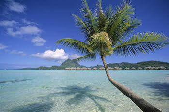 Hotel Bora Bora Pearl Beach Vaitape